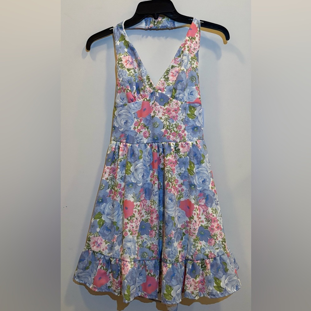 Floral V-Neck Mini Dress in Blue and Pink